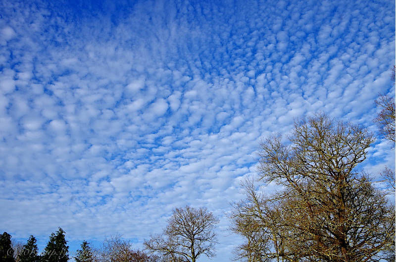 ciel_IMGP1376