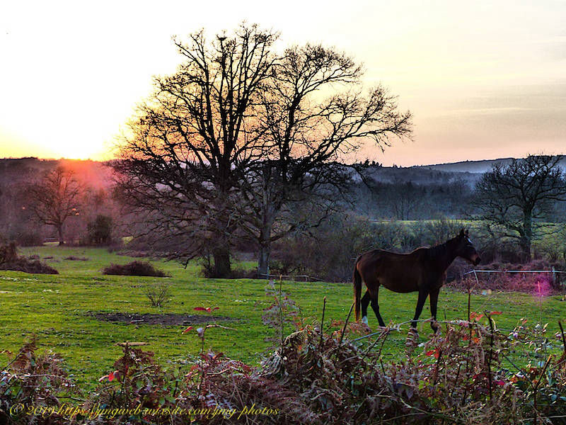 Campagne