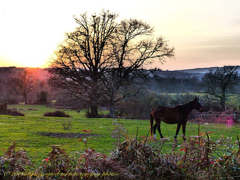 Campagne